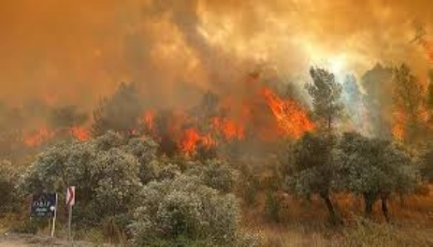 Muğla'da tatilcilere orman yangını uyarısı